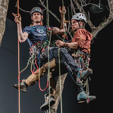 Tree climbing forum